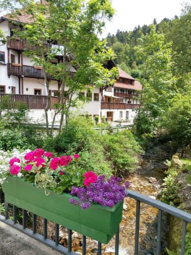Apartamento Ferienwohnung Waldrand