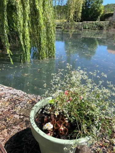 Le Moulin De La Forge