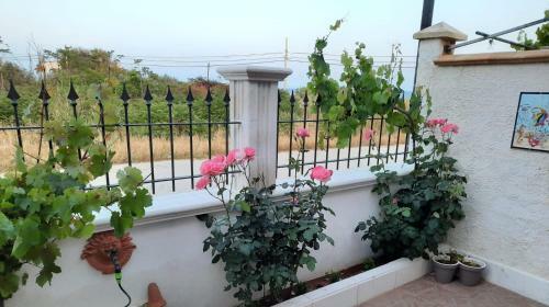 Apartamento Villa Amy