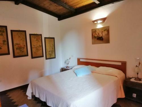 Casa Vacanza Immersa Nella Natura
