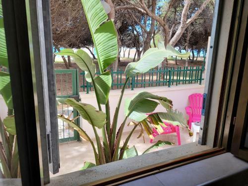 Apartamento Fronte Pineta Mare Rivabella