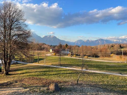 B&B Formigh�r