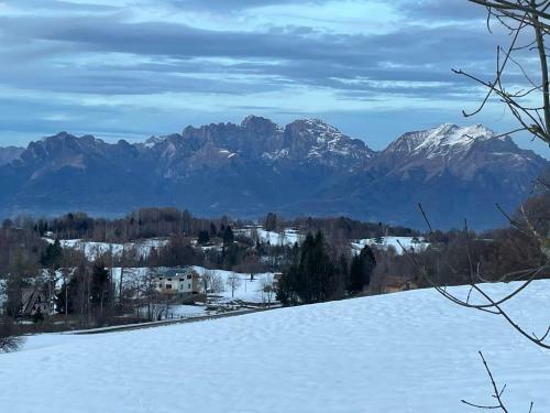 B&B Formigh�r