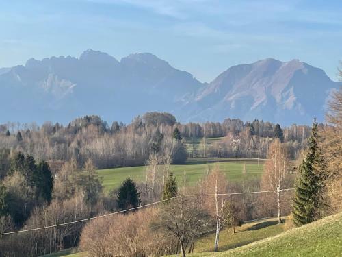 B&B Formigh�r