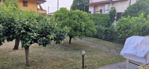Leureta