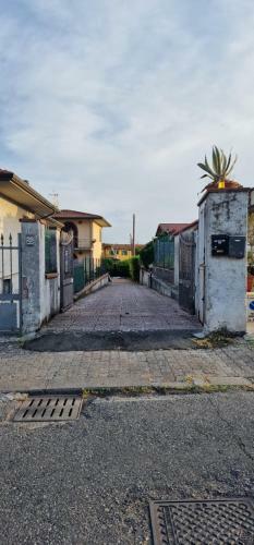Leureta