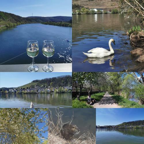 Apartamento Auszeit Rhein-mosel