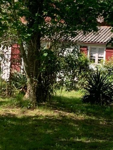 Hostal Studio R�nov� Pour 1 Ou 2 Voyageurs