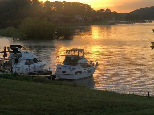 Douglas Lake Life Rentals 2