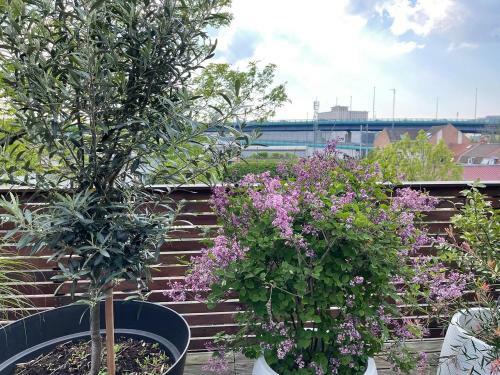 Apartamento The Roof - Lille Grand Palais