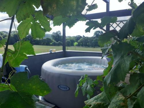 Bed & Breakfast Locarn Lodge, Goas Rep