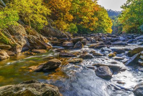 Apartamento Rolling On The River Cedar Lodge 705