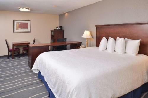 Hotel Irving Inn & Suites At Dfw Airport