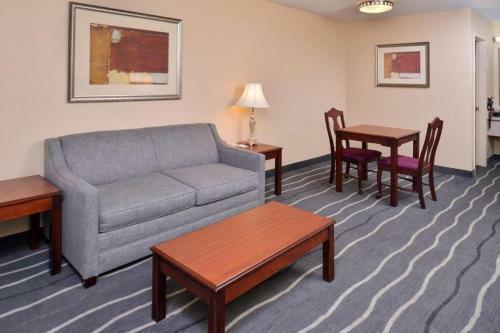 Hotel Irving Inn & Suites At Dfw Airport