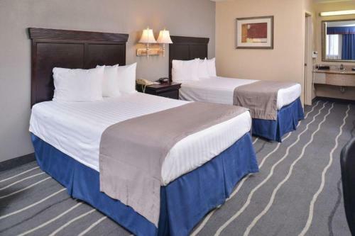 Hotel Irving Inn & Suites At Dfw Airport