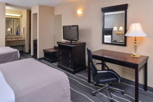 Hotel Irving Inn & Suites At Dfw Airport