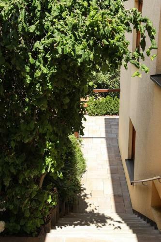 Apartamento Ferienwohnung Zur Wolfskehln