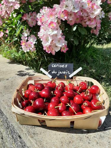 Bed & Breakfast Au Chat Perch�