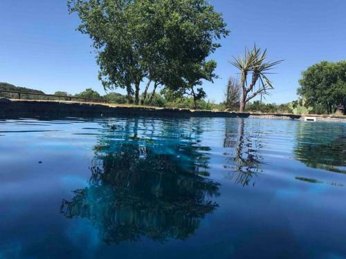 Luxury Home/fiesta Tx 10 Min/la Cantera/seaworld