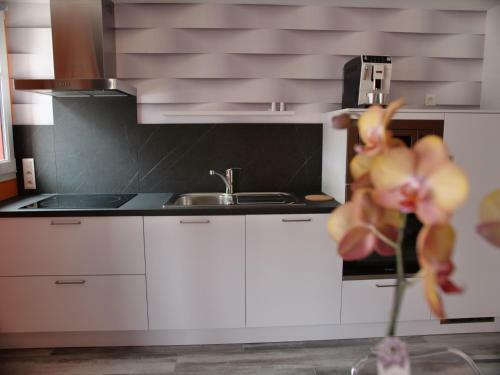 Sunny Dreams Apartment