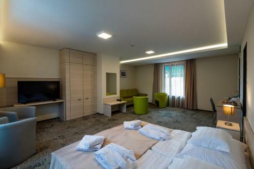 Thermal Hotel Balmaz