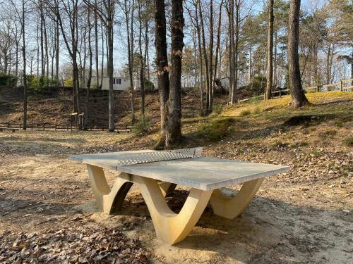 Mobile Home 6 Personnes