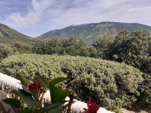 Apartamento Studio Ventoux