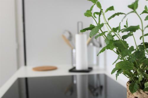 Apartamento Appartement Centre Ville - Gare - Calme