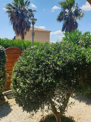 Apartamento Appartement Avec Jardin Proche De La Mer