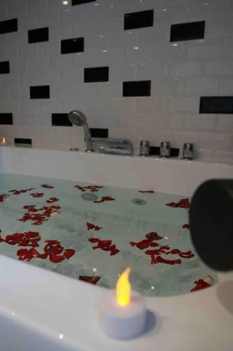 Apartamento V�nus Love Room Jacuzzi En Toute Intimit�