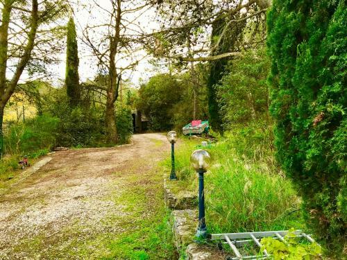 Villa Avec Piscine Sur Les Hauts De N�mes