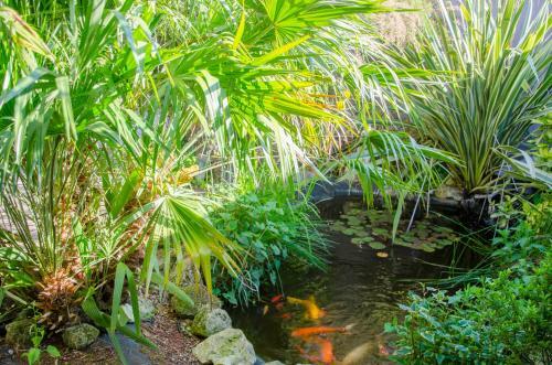 Hostal La Pause C�leste