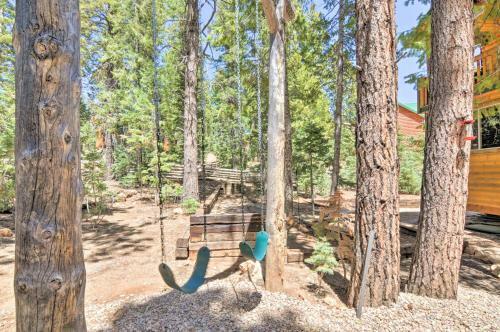 The Great Escape Cabin Fire Pit And Backyard