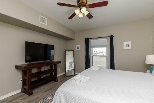 Bayside Beauty Ccca9k By Padre Escapes