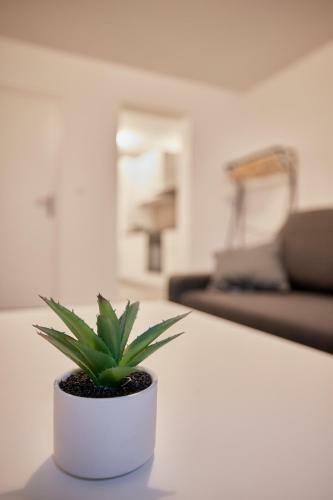 Apartamento T2lescordeliers