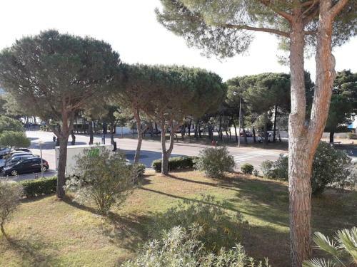 Apartamento R�sidence Margarita
