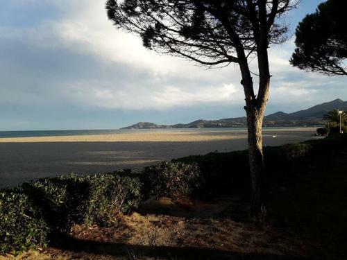 Apartamento R�sidence Margarita