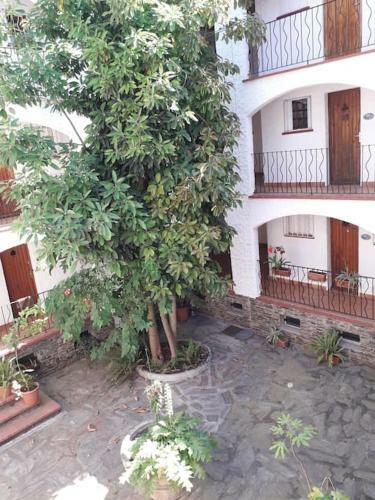 Apartamento R�sidence Margarita