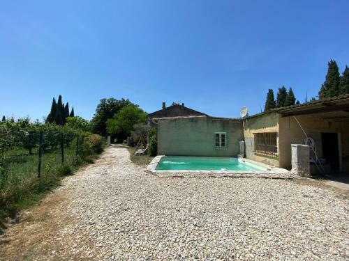 La M�sange Et Le Pissenlit