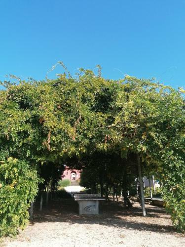 Apartamento Claire Rive 42m2 Appart