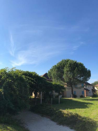 Apartamento Claire Rive 42m2 Appart