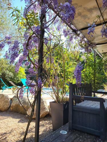 Villa Maison Avec Piscine Chauff�e