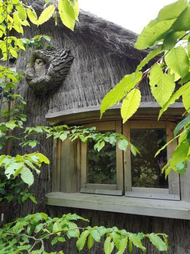 Cabane D'augustin