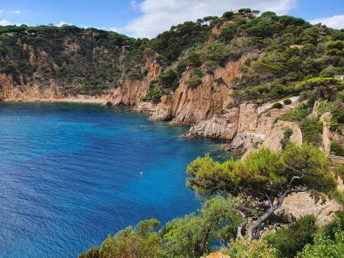 Apartamento Residence Port Cipriano