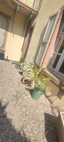 Apartamento Flatgarden