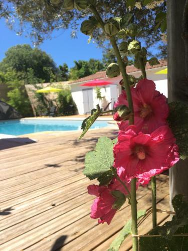 Bed & Breakfast Le Soleil Do' R�