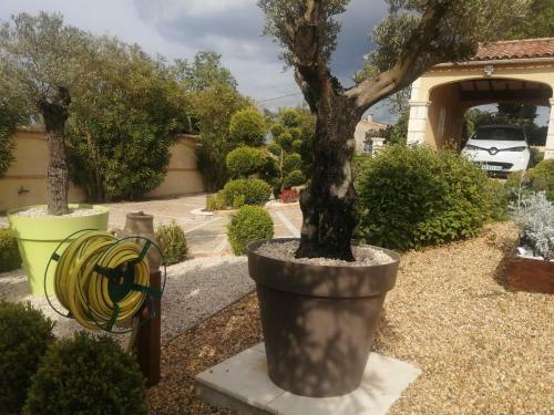 Villa Super Complexe Pour 16 Personnes
