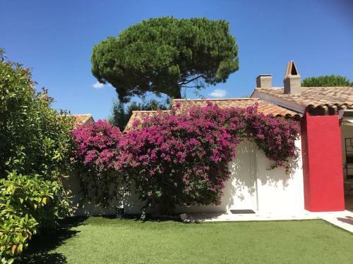 Ste Maxime Villa 5 * - Piscine Chauff�e - 6/9 Pers