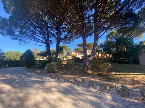 Villa Climatis�e Avec Grande Piscine