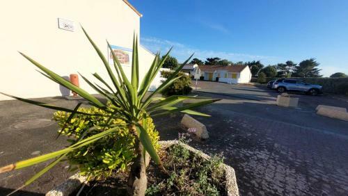 Le Frene - Saint-hilaire-de-riez